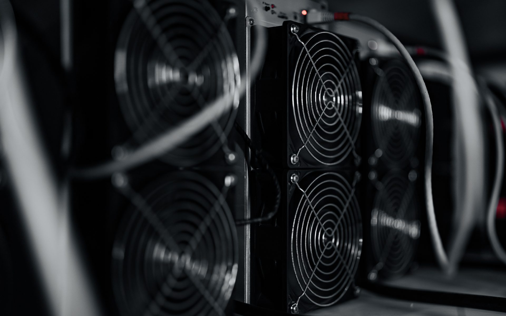 Close-up of crypto mining hardware